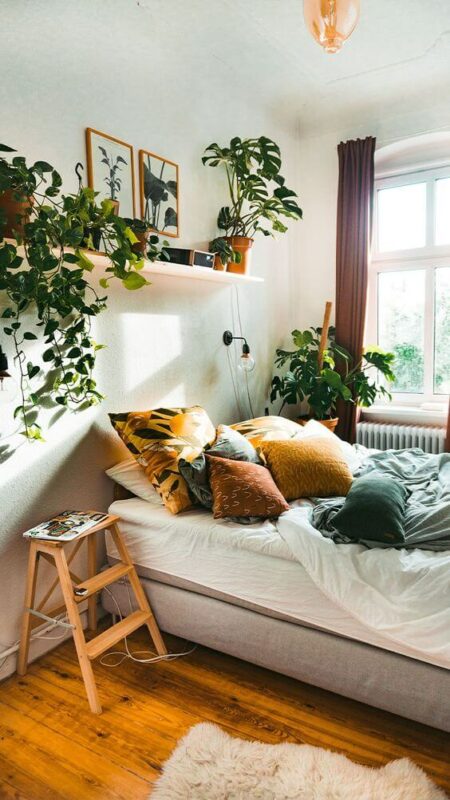 Cara menghias kamar tidur sederhana unik tanaman