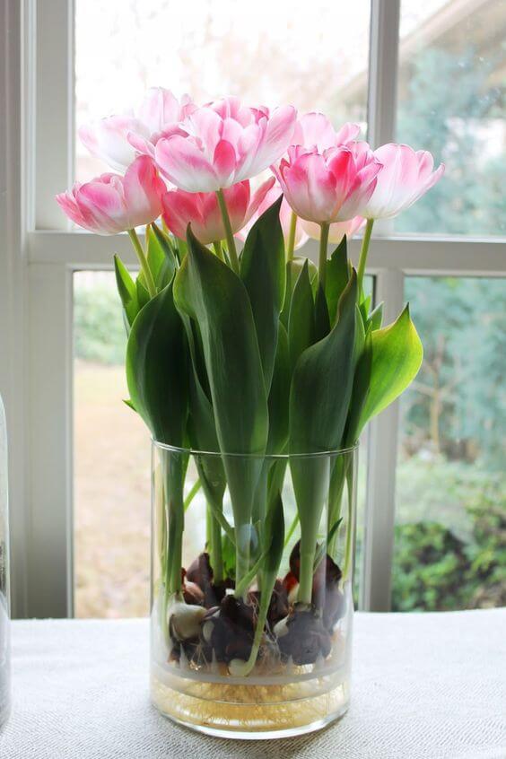 Cara menghias kamar tidur bunga - tulip