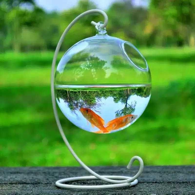 5 Model Aquarium Minimalis Ikan Hias Desain Unik berikut Harganya