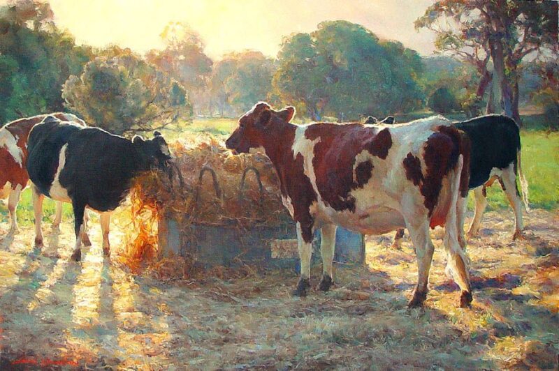 Dairy D'Light Karya John McCartin