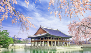 Year-End Tourist Attractions in South Korea
